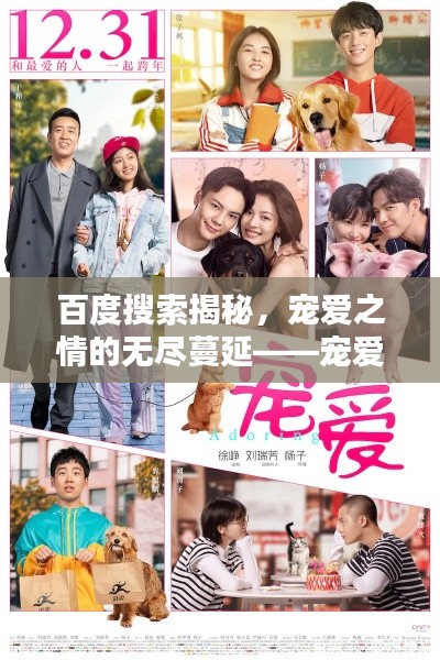 百度搜索揭秘，宠爱之情的无尽蔓延——宠爱百度探寻