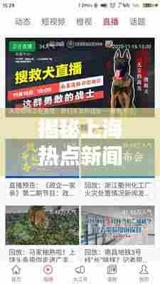 揭秘上海热点新闻头条，不容错过的最新资讯！