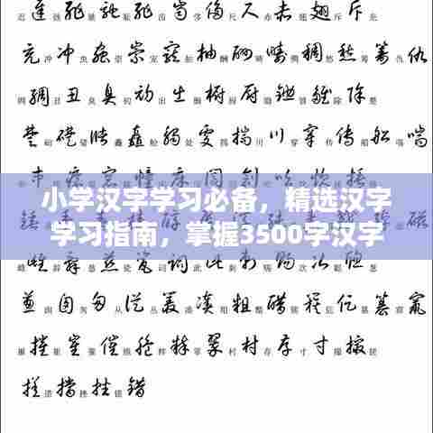 小学汉字学习必备,精选汉字学习指南,掌握3500字汉字轻松识字教学