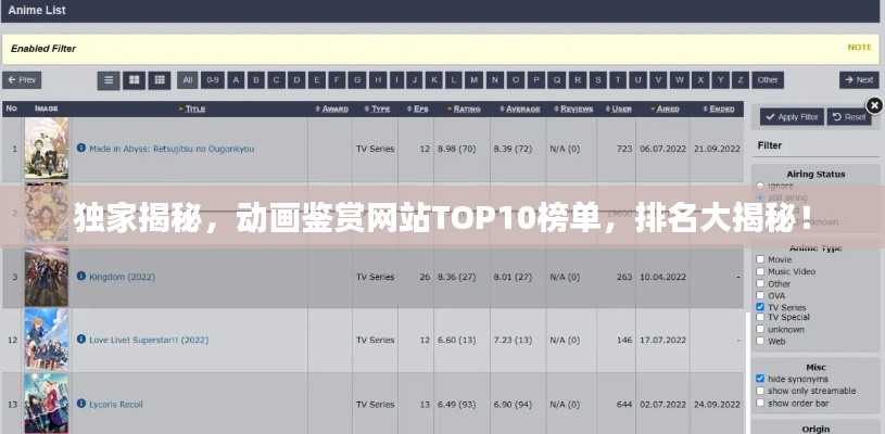 独家揭秘,动画鉴赏网站TOP10榜单,排名大揭秘!