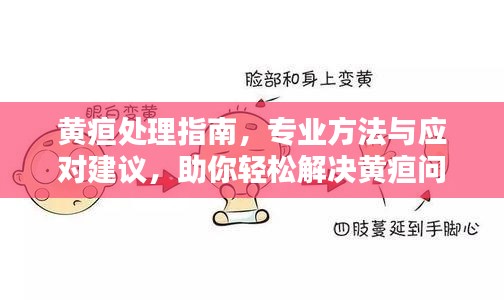 黄疸处理指南,专业方法与应对建议,助你轻松解决黄疸问题!