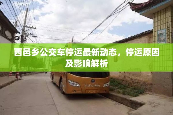 西邑乡公交车停运最新动态，停运原因及影响解析