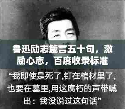 鲁迅励志箴言五十句,激励心志,百度收录标准吸睛标题