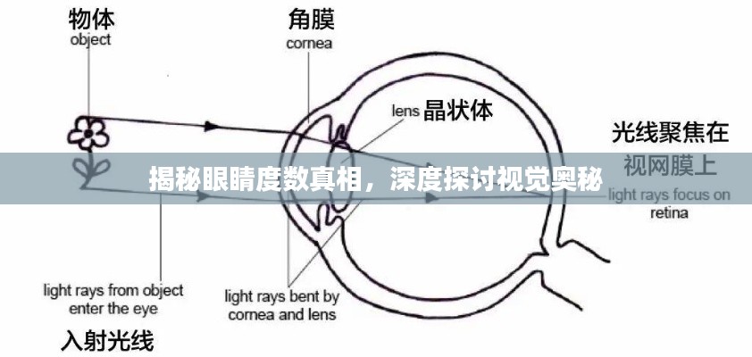 揭秘眼睛度数真相，深度探讨视觉奥秘