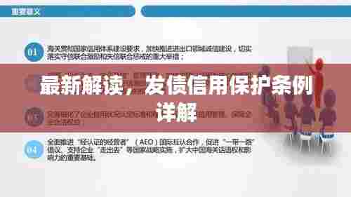 最新解读，发债信用保护条例详解