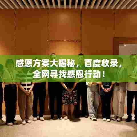 感恩方案大揭秘,百度收录,全网寻找感恩行动!