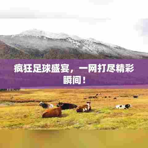 疯狂足球盛宴，一网打尽精彩瞬间！