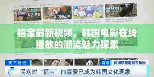 福宝最新视频,韩国电影在线播放的潮流魅力探索