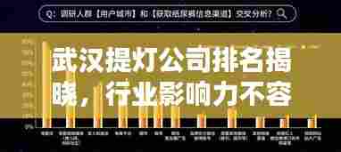武汉提灯公司排名揭晓,行业影响力不容小觑
