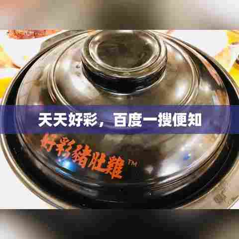 天天好彩，百度一搜便知