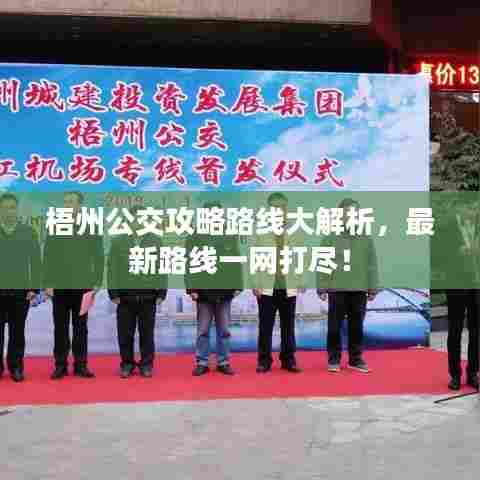 梧州公交攻略路线大解析,最新路线一网打尽!