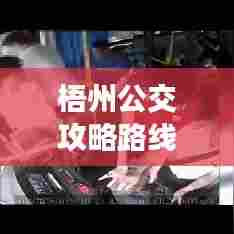 梧州公交攻略路线大解析，最新路线一网打尽！