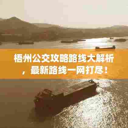 梧州公交攻略路线大解析,最新路线一网打尽!