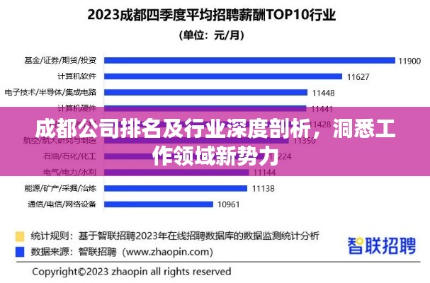 成都公司排名及行业深度剖析，洞悉工作领域新势力