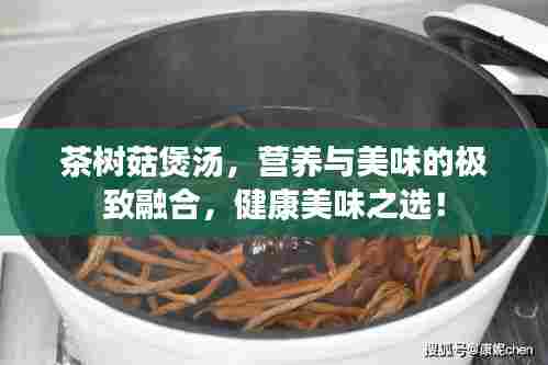 茶树菇煲汤,营养与美味的极致融合,健康美味之选!
